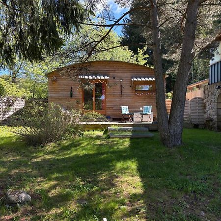 Chalet Grenouille Domaine De La Mamounette Champclause エクステリア 写真