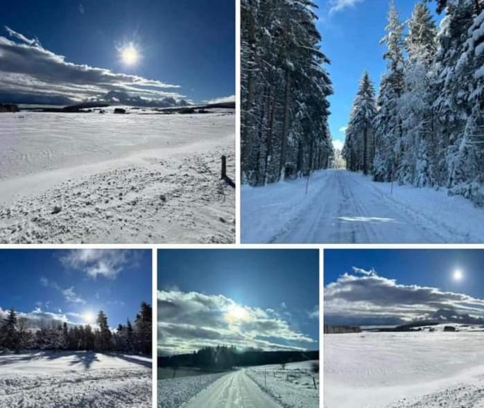 Chalet Grenouille Domaine De La Mamounette Champclause エクステリア 写真