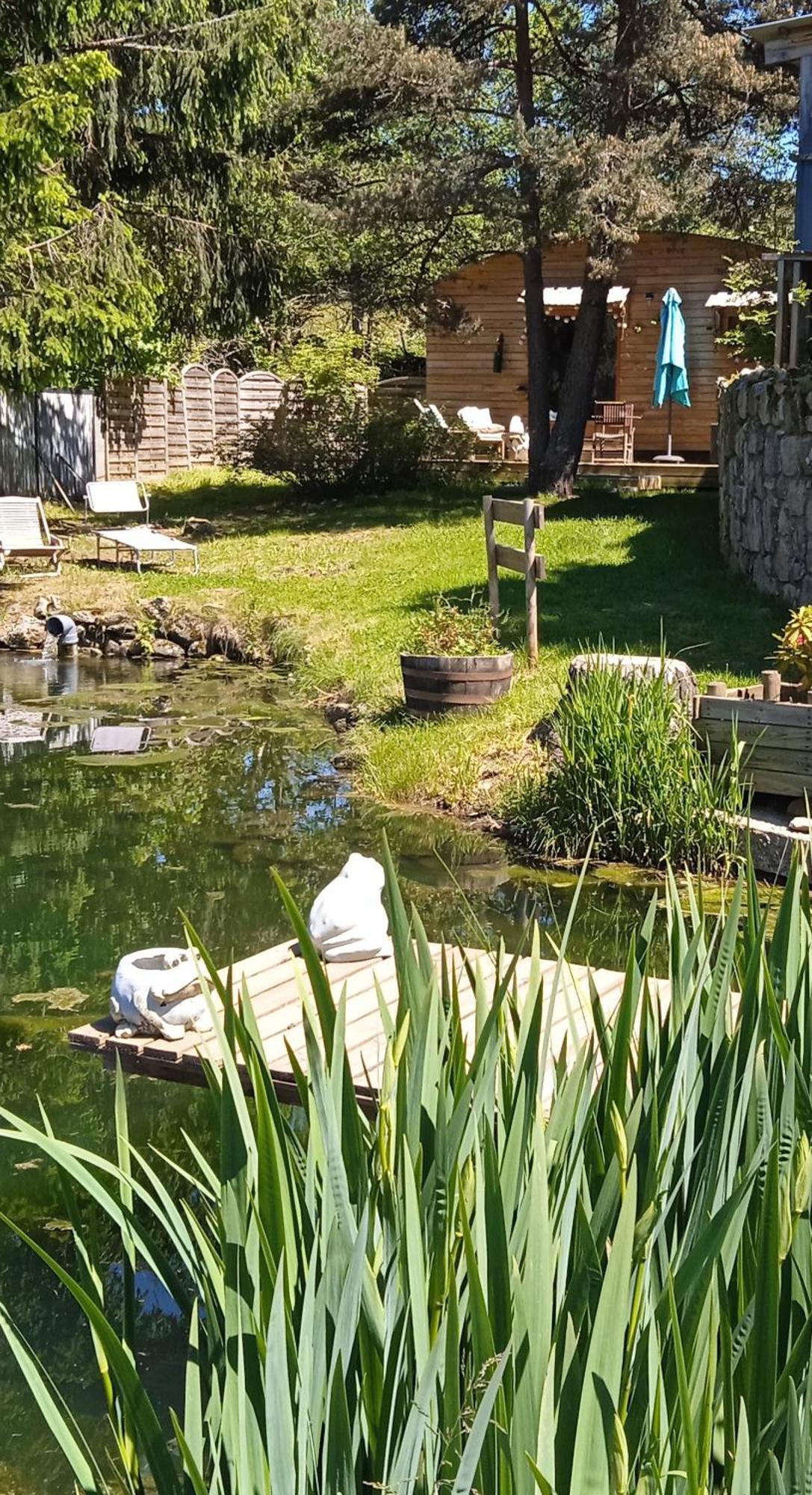 Chalet Grenouille Domaine De La Mamounette Champclause エクステリア 写真