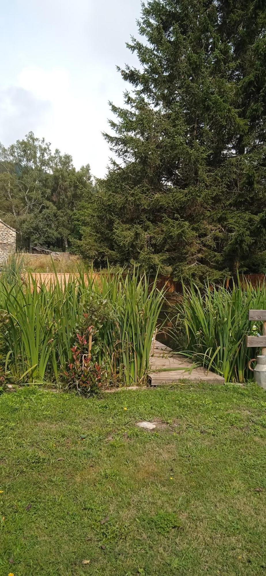 Chalet Grenouille Domaine De La Mamounette Champclause エクステリア 写真