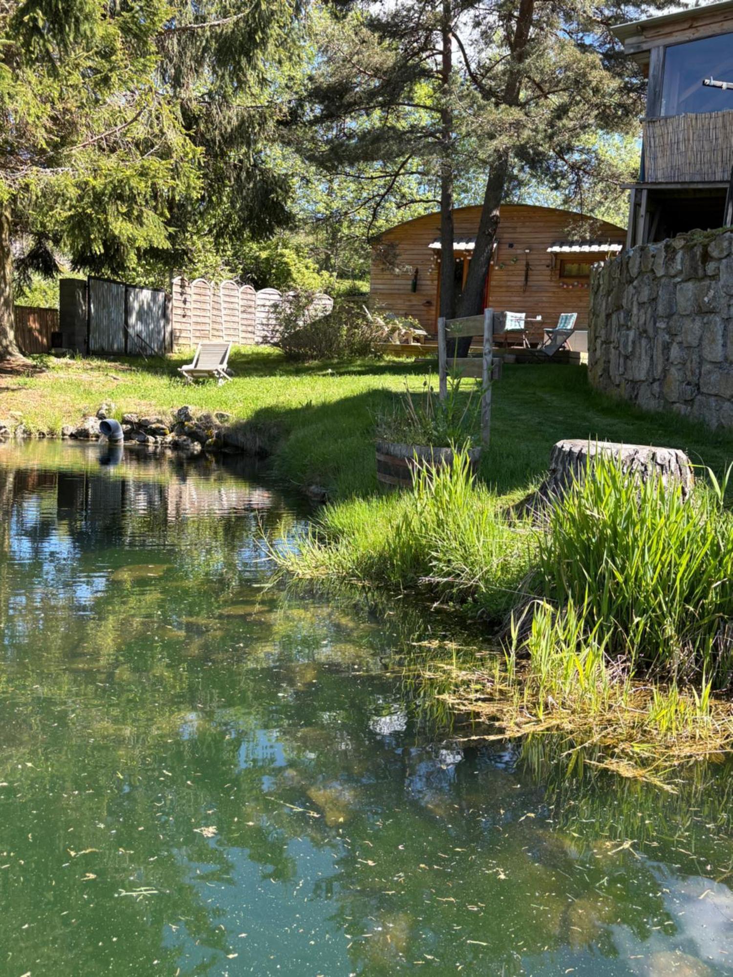 Chalet Grenouille Domaine De La Mamounette Champclause エクステリア 写真