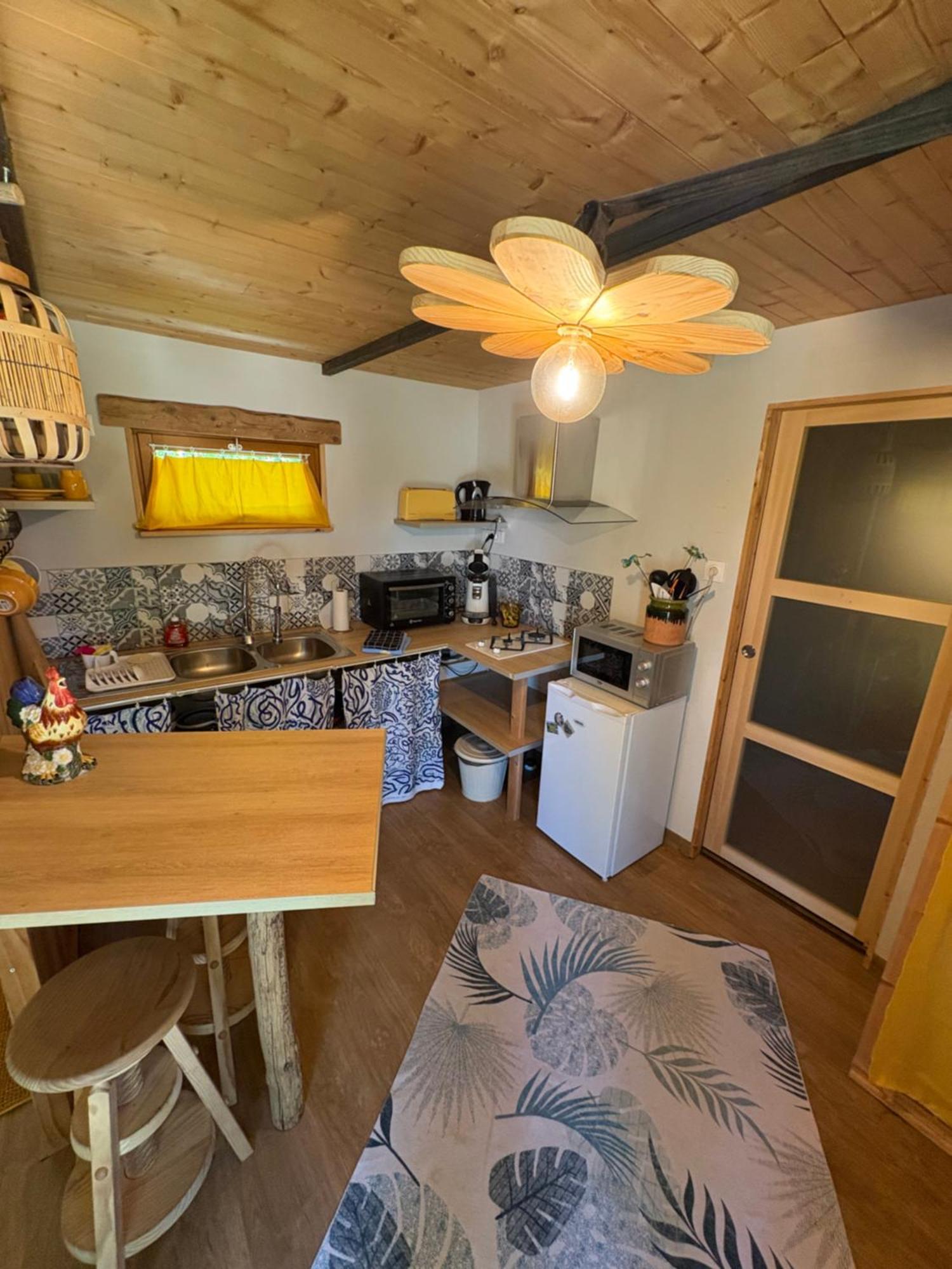 Chalet Grenouille Domaine De La Mamounette Champclause エクステリア 写真
